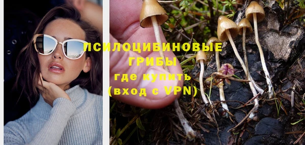 молекула духа Алексеевка