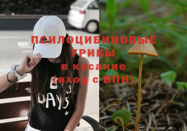 молекула духа Остров