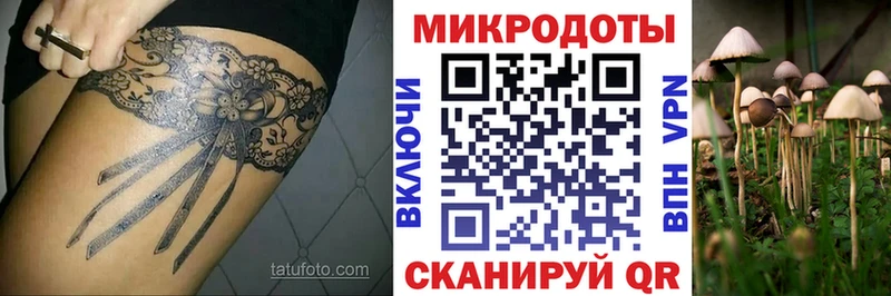 Галлюциногенные грибы мухоморы  Апатиты 